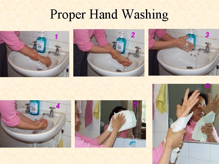 Proper Hand Washing 1 2 3 6 4 5 