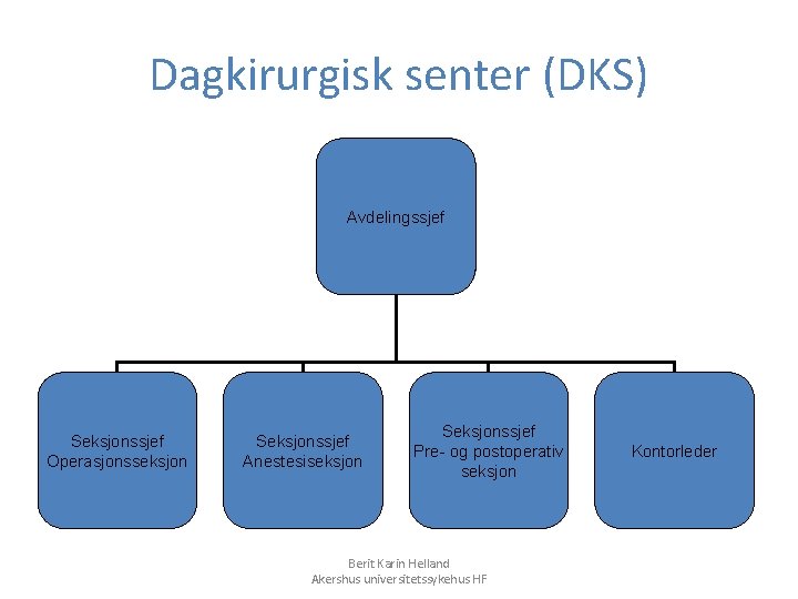 Dagkirurgisk senter (DKS) Avdelingssjef Seksjonssjef Operasjonsseksjon Seksjonssjef Anestesiseksjon Seksjonssjef Pre- og postoperativ seksjon Berit