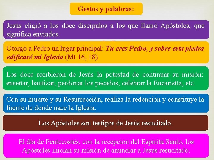 Gestos y palabras: Jesús eligió a los doce discípulos a los que llamó Apóstoles,