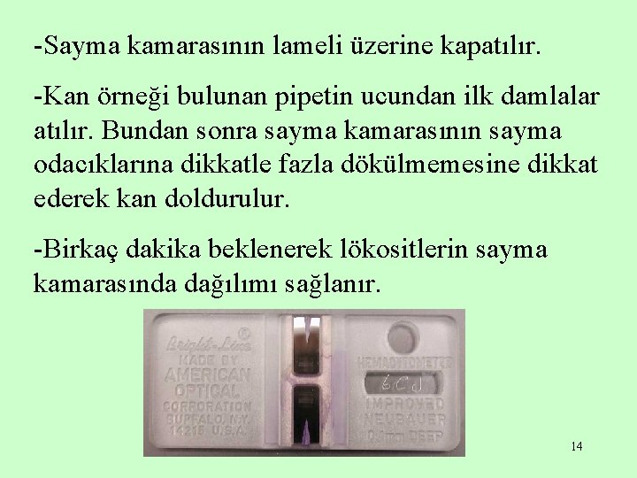 -Sayma kamarasının lameli üzerine kapatılır. -Kan örneği bulunan pipetin ucundan ilk damlalar atılır. Bundan