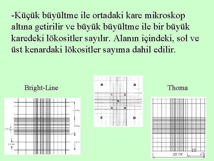-Küçük büyültme ile ortadaki kare mikroskop altına getirilir ve büyük büyültme ile bir büyük
