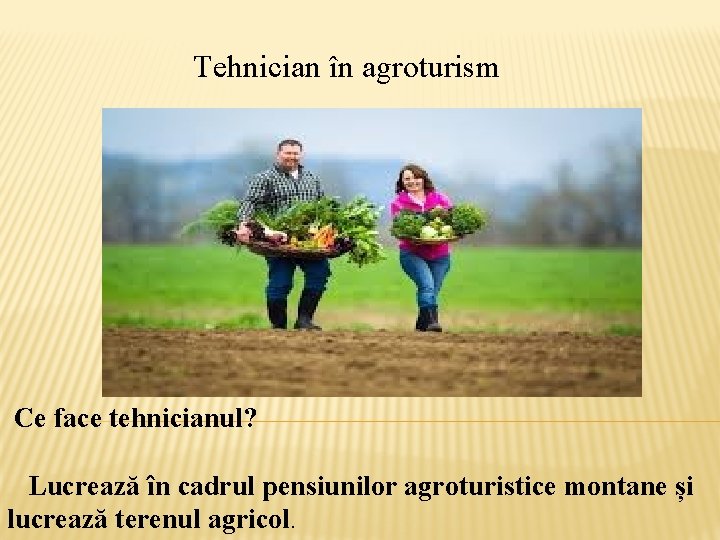 Tehnician în agroturism Ce face tehnicianul? Lucrează în cadrul pensiunilor agroturistice montane și lucrează