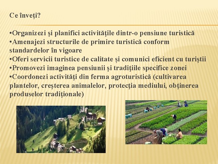 Ce înveți? • Organizezi şi planifici activităţile dintr-o pensiune turistică • Amenajezi structurile de