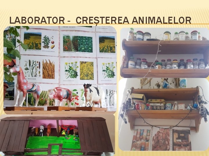 LABORATOR - CREȘTEREA ANIMALELOR 