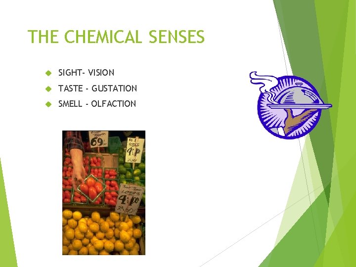 THE CHEMICAL SENSES SIGHT- VISION TASTE - GUSTATION SMELL - OLFACTION 