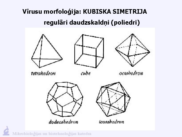 Vīrusu morfoloģija: KUBISKA SIMETRIJA regulāri daudzskaldņi (poliedri) 