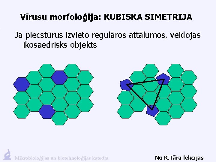 Vīrusu morfoloģija: KUBISKA SIMETRIJA Ja piecstūrus izvieto regulāros attālumos, veidojas ikosaedrisks objekts No K.