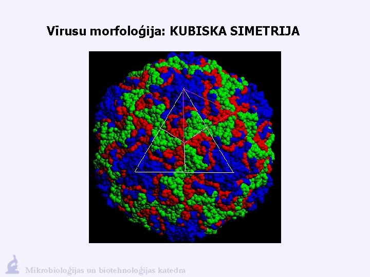 Vīrusu morfoloģija: KUBISKA SIMETRIJA 