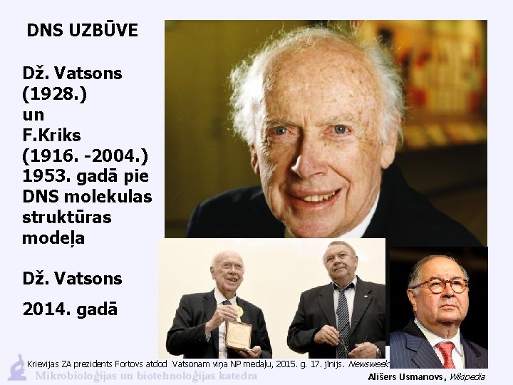 DNS UZBŪVE Dž. Vatsons (1928. ) un F. Kriks (1916. -2004. ) 1953. gadā