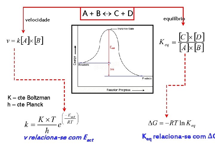 velocidade A+B C+D equilíbrio K – cte Boltzman h – cte Planck v relaciona-se