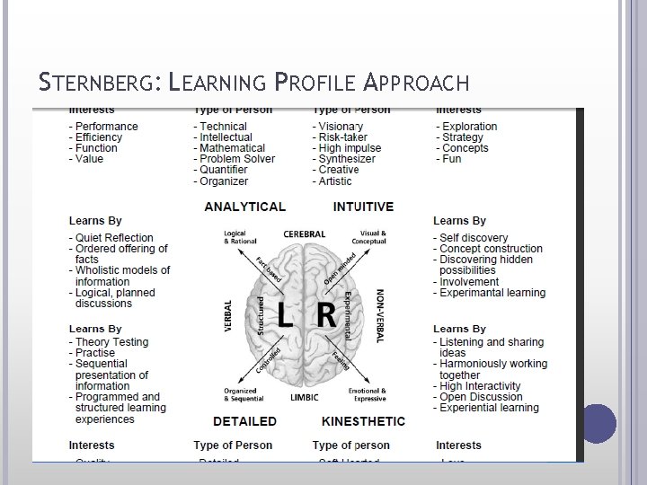 STERNBERG: LEARNING PROFILE APPROACH 