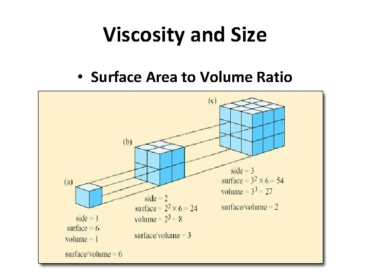 Viscosity and Size • Surface Area to Volume Ratio 