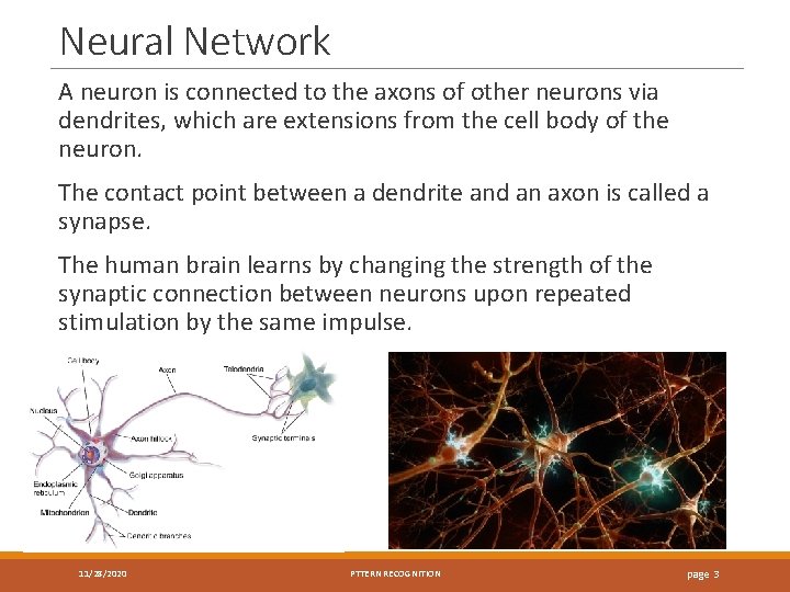 Neural Network A neuron is connected to the axons of other neurons via dendrites,