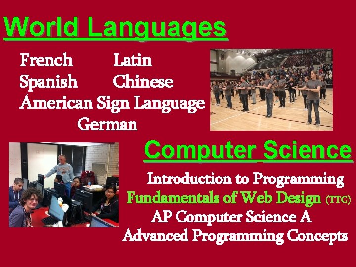 World Languages French Latin Spanish Chinese American Sign Language German Computer Science Introduction to