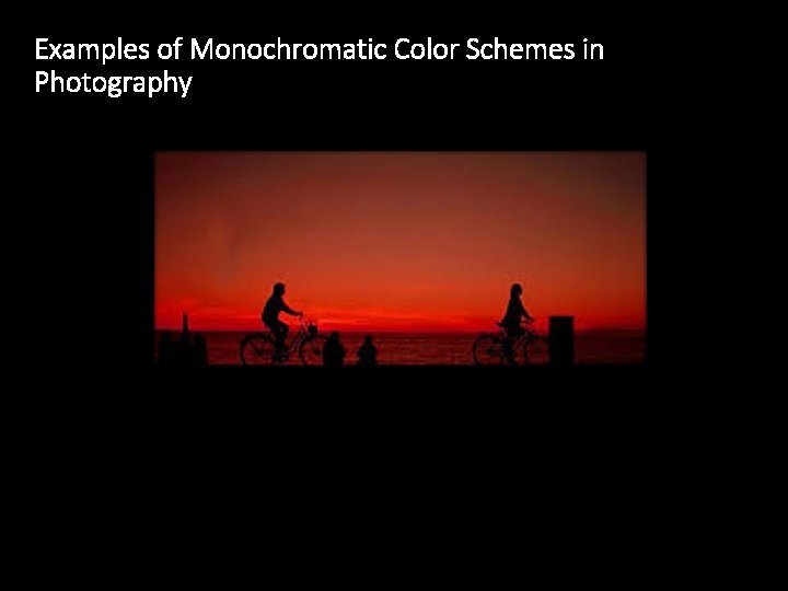 Examples of Monochromatic Color Schemes in Photography 