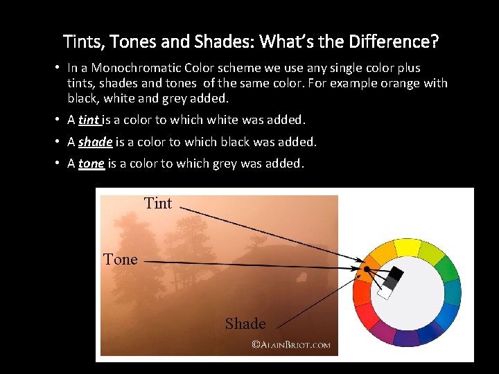 Tints, Tones and Shades: What’s the Difference? • In a Monochromatic Color scheme we