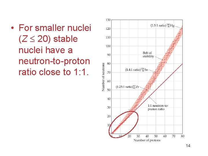  • For smaller nuclei (Z 20) stable nuclei have a neutron-to-proton ratio close