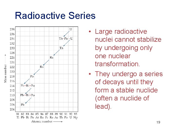 Radioactive Series • Large radioactive nuclei cannot stabilize by undergoing only one nuclear transformation.