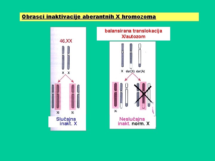 Obrasci inaktivacije aberantnih X hromozoma balansirana translokacija X/autozom I Slučajna inakt. X Neslučajna inakt.