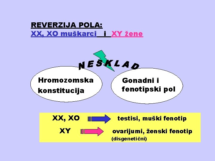 REVERZIJA POLA: XX, XO muškarci i XY žene Hromozomska konstitucija Gonadni i fenotipski pol