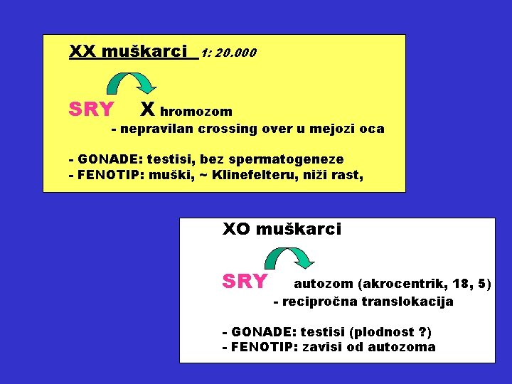 XX muškarci SRY 1: 20. 000 X hromozom - nepravilan crossing over u mejozi