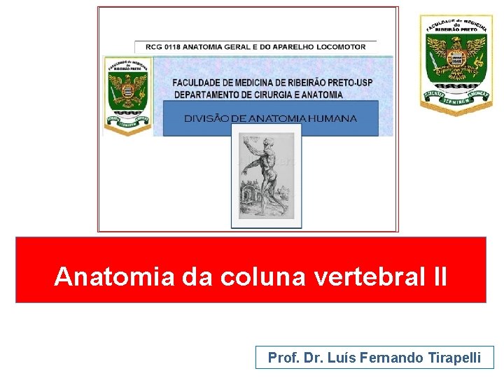 Anatomia da coluna vertebral II Prof. Dr. Luís Fernando Tirapelli 