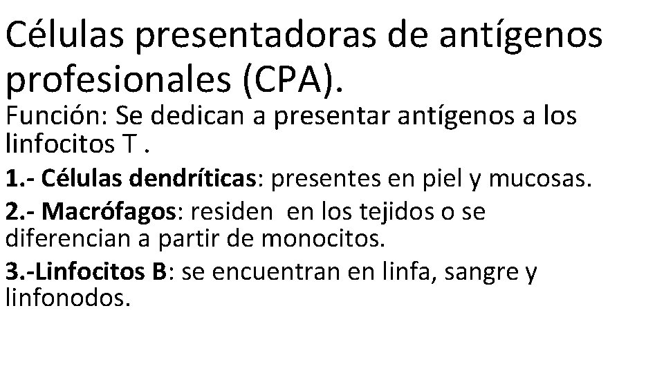 Células presentadoras de antígenos profesionales (CPA). Función: Se dedican a presentar antígenos a los Células presentadoras de antígenos profesionales (CPA). Función: Se dedican a presentar antígenos a los