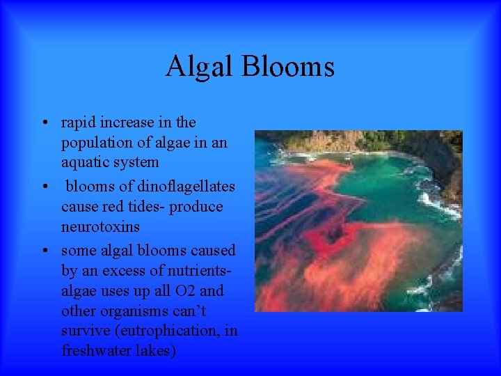 Algal Blooms • rapid increase in the population of algae in an aquatic system