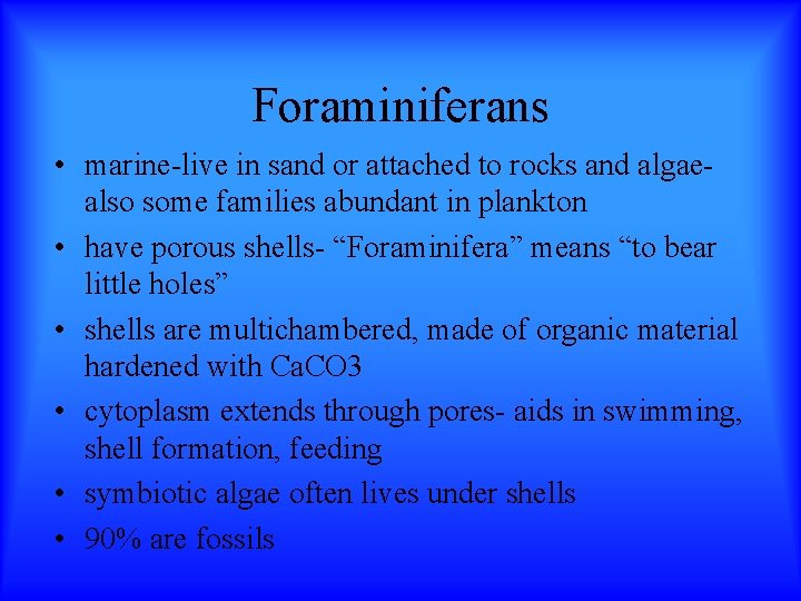 Foraminiferans • marine-live in sand or attached to rocks and algaealso some families abundant