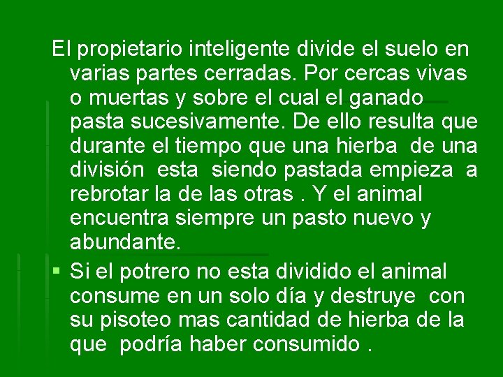 El propietario inteligente divide el suelo en varias partes cerradas. Por cercas vivas o