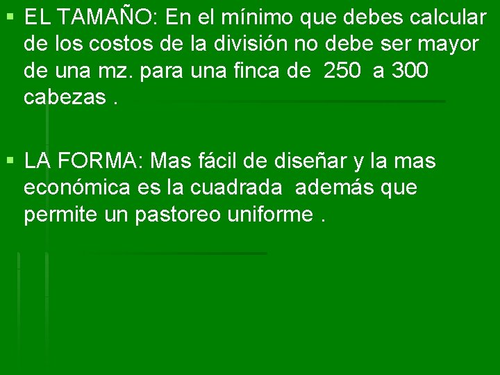 § EL TAMAÑO: En el mínimo que debes calcular de los costos de la