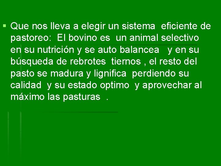 § Que nos lleva a elegir un sistema eficiente de pastoreo: El bovino es