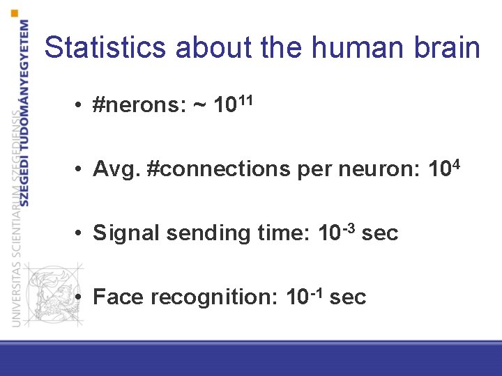 Statistics about the human brain • #nerons: ~ 1011 • Avg. #connections per neuron: