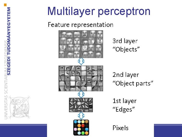 Multilayer perceptron 