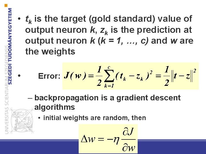  • tk is the target (gold standard) value of output neuron k, zk