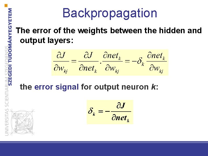 Backpropagation The error of the weights between the hidden and output layers: the error