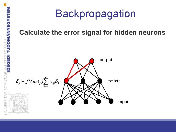 Backpropagation Calculate the error signal for hidden neurons output rejtett input 