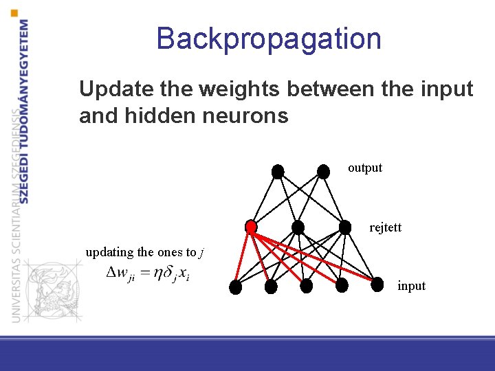 Backpropagation Update the weights between the input and hidden neurons output rejtett updating the