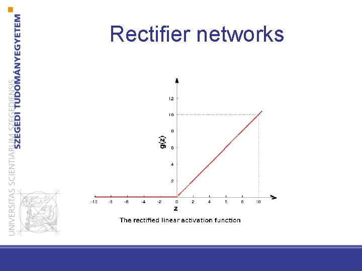 Rectifier networks 