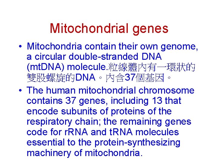 Mitochondrial genes • Mitochondria contain their own genome, a circular double-stranded DNA (mt. DNA)