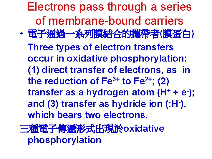 Electrons pass through a series of membrane-bound carriers • 電子通過一系列膜結合的攜帶者(膜蛋白) Three types of electron
