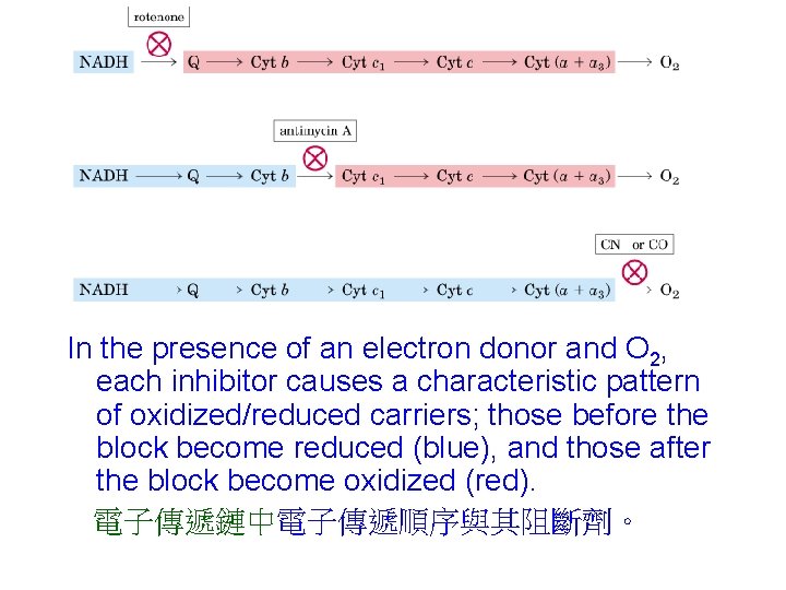 In the presence of an electron donor and O 2, each inhibitor causes a