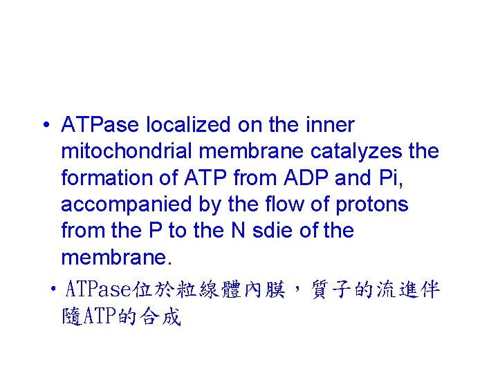  • ATPase localized on the inner mitochondrial membrane catalyzes the formation of ATP