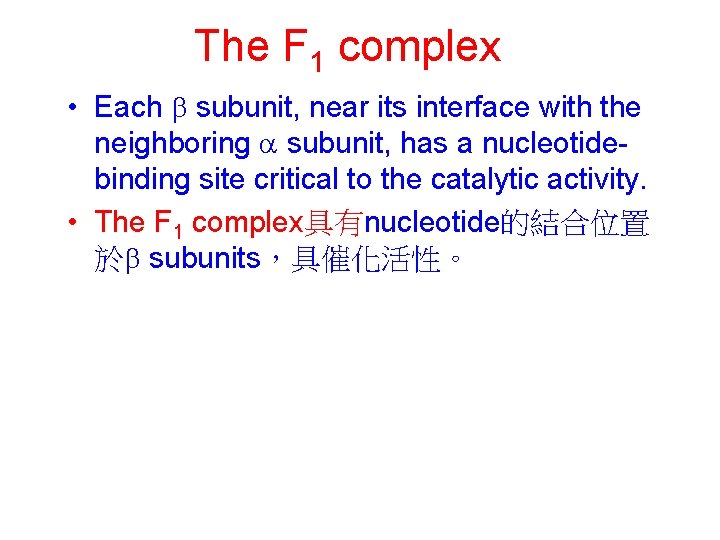 The F 1 complex • Each b subunit, near its interface with the neighboring