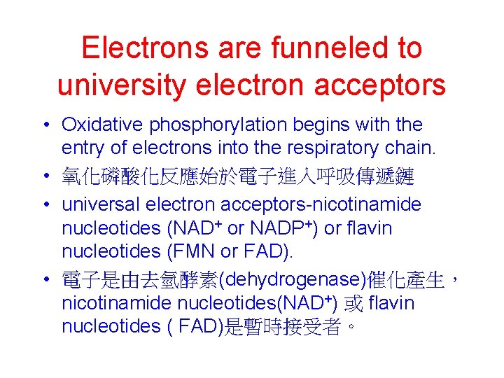 Electrons are funneled to university electron acceptors • Oxidative phosphorylation begins with the entry
