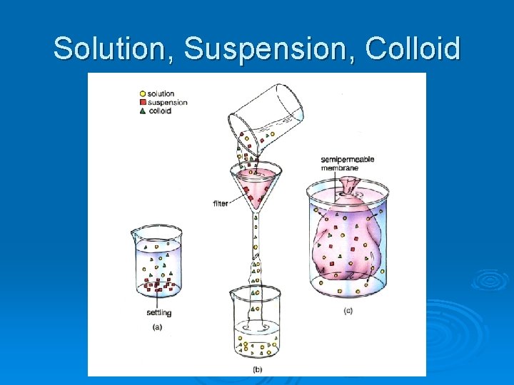 Solution, Suspension, Colloid 