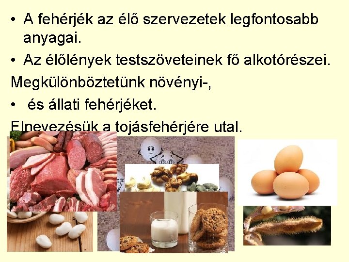  • A fehérjék az élő szervezetek legfontosabb anyagai. • Az élőlények testszöveteinek fő