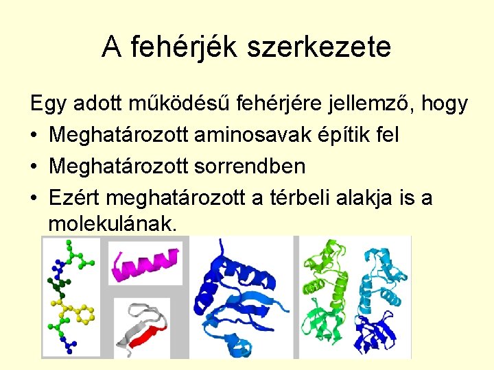 A fehérjék szerkezete Egy adott működésű fehérjére jellemző, hogy • Meghatározott aminosavak építik fel