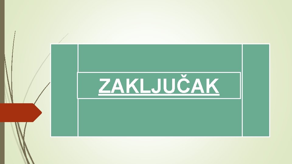 ZAKLJUČAK 