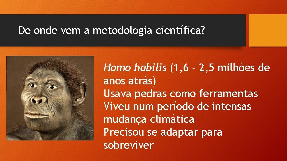 De onde vem a metodologia científica? Homo habilis (1, 6 – 2, 5 milhões